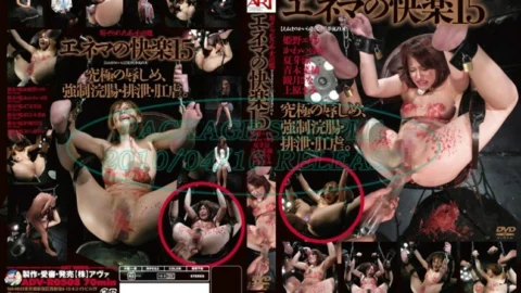 ADV-R0508 Fascinated Slut Picture Book Enema’s Pleasure 15