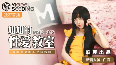 MSD012 Sister’s Sex Classroom Discipline My Brother’s First Time Experience