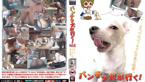 PUROD-072 Panchira dog goes! Vol.2