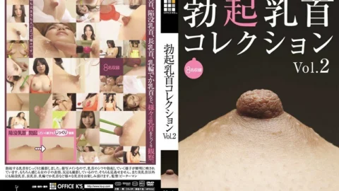 DOKS-159 Erection Nipple Collection VOL.2 – Sayaka Kurashina