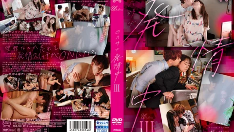 SILK-148 In heat all the time Ⅲ