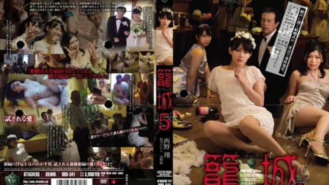 [UNCENSORED-LEAK] RBD-541 Siege 5 Sho Nishino Hikari Hino Yui Asano