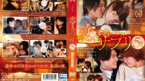 SILK-153 Koisuru Supplement 5th Tablet ~Fateful Boyfriend~ 225 3